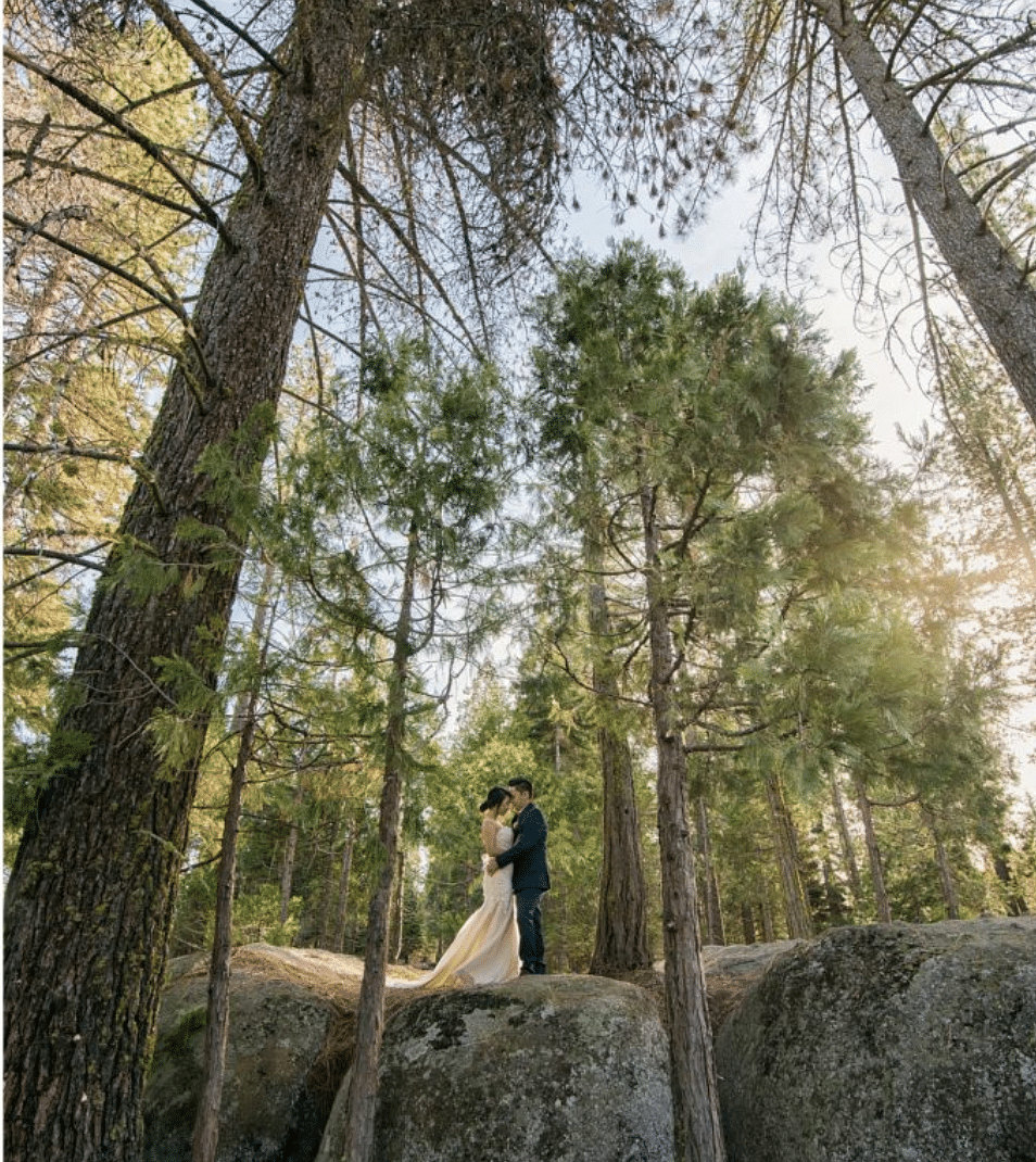 A newly wed couple standing amidst tall trees in a forest - Shaver Lake Village Hotel.