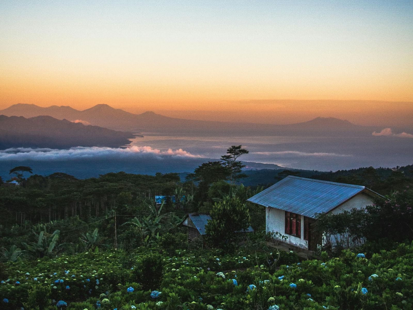 A beautiful landscape of a garden along with a small hut surrounded by beautiful orchids with a mesmerising sunset in the background.