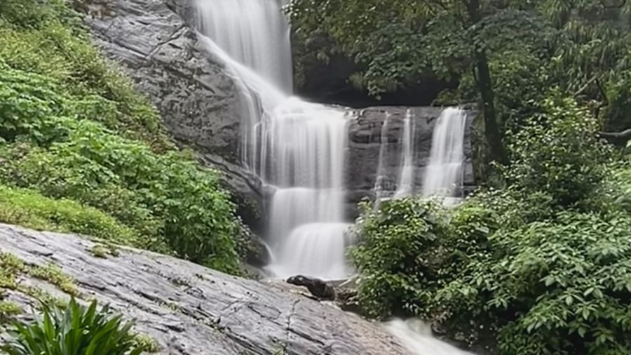 an overview of a waterfall cascading down next to trees and plants - Ibex Stays & Trails, Valparai (Mistly).