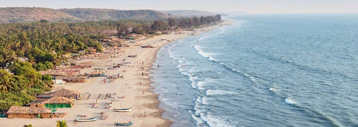 7 Places to Visit in India in January image