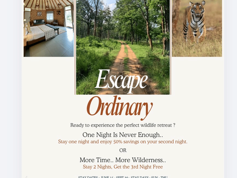 Travel ad for Machaan Wilderness Lodge featuring a cosy lodge room, a serene forest path with the text - Escape Ordinary, and a roaming tiger. The offer includes discounts for extended stays. Contact details and terms apply.