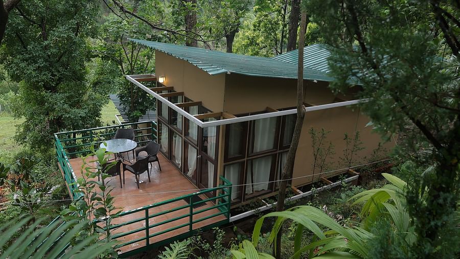 top view of sal wood forest retreat unique stay and lots of trees in sight.