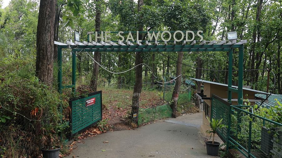 gates opening to the sal woods forest retreat and lots of trees lining the walkway can be seen.