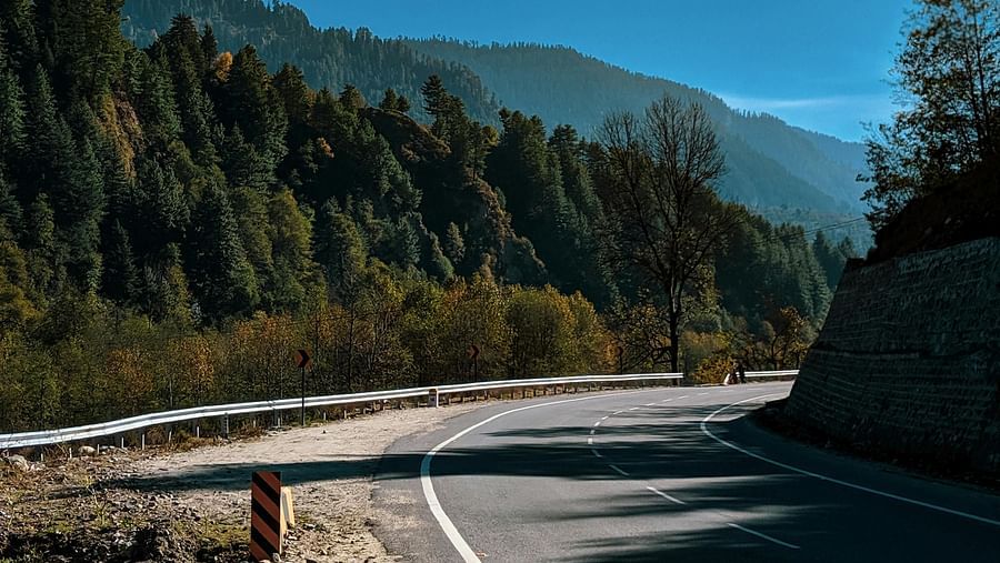 A view of the road with green trees in the background.