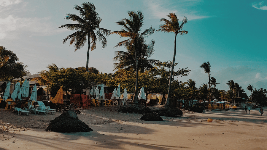 A beachside view with a row of palm trees along the sand under a partly cloudy sky.
