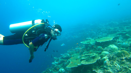A person scuba diving wearing a mask and an oxygen tank, while swimming next to reefs - Scuba Diving in Port Blair Cost