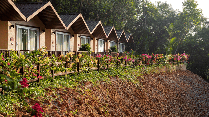 A view of the beautiful flower garden in front of the cottages at our resort - Stone Wood Nature Resort, Gokarna