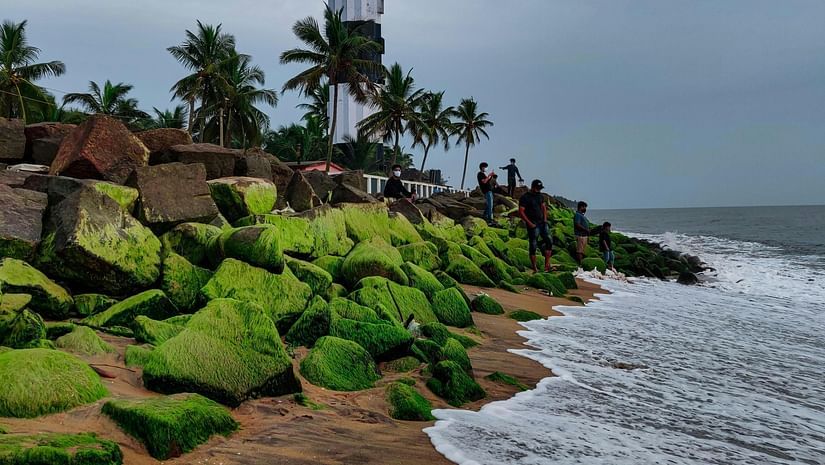 A lighthouse on a beach with greenery on a cloudy day