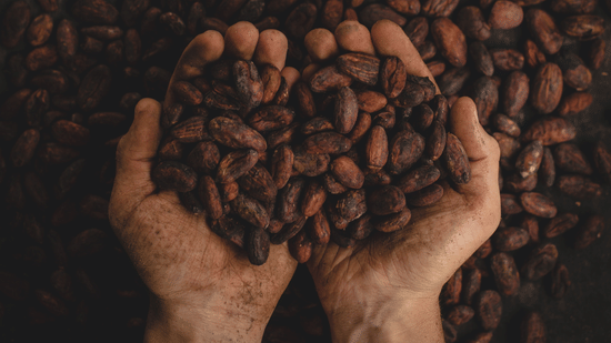 A person picking coffee beans between their palms