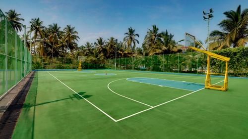 An image of a Basketball Court