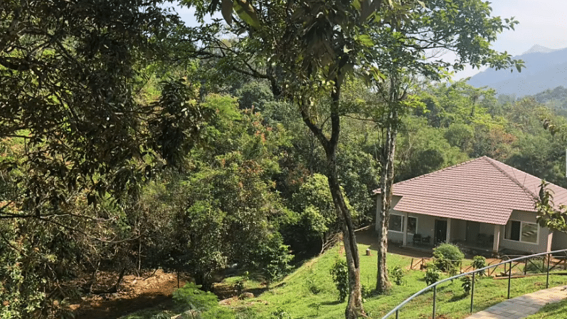 A scenic hillside view with a beautiful resort nestled among lush trees. - Abad Brookside Lakkidi, Wayanad