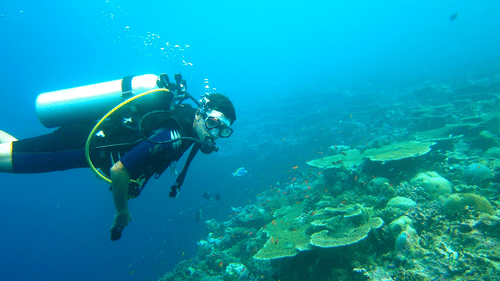 Person scuba diving while breathing through mask with a oxygen tank
