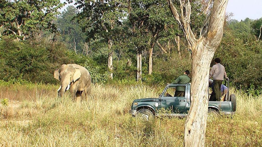 An image of people on a Jeep safari and next to it there is an elephant 