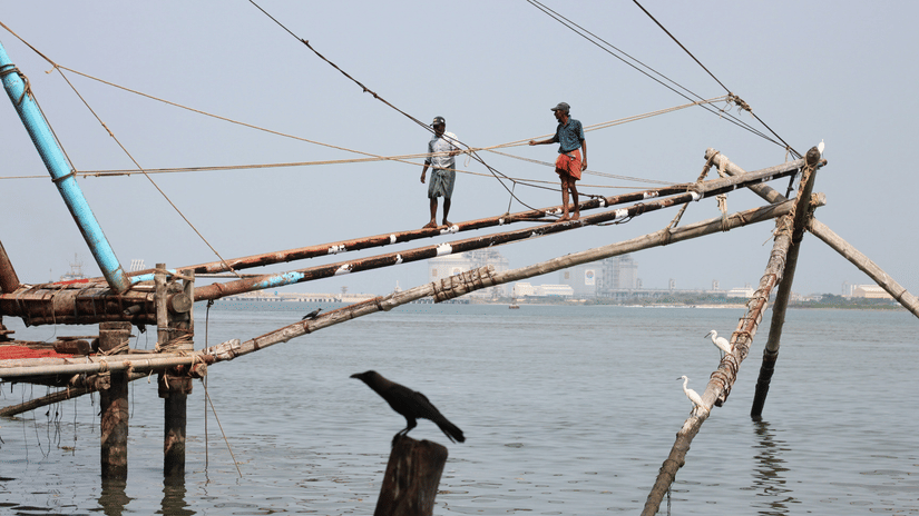 Fort Kochi Chinese fishing nets over the water with fishermen working on the traditional cantilevered structures