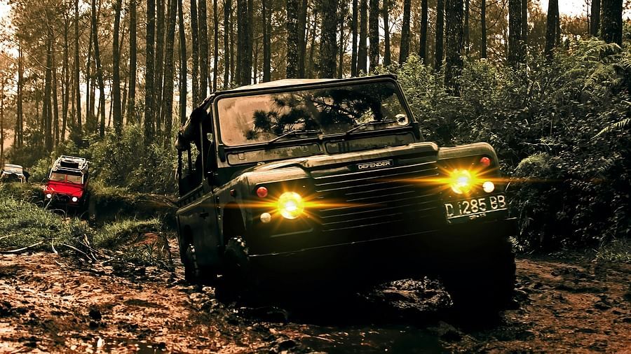 a jeep in a forest