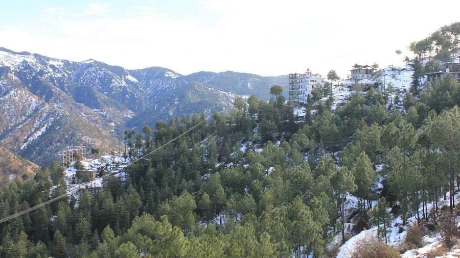 view of the hills from the balcony - Silverpine Apartments & Homestay, Mehli 1