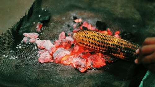 a corn on the cob being grilled directly on hot coal by a street vendor