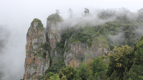 A far out view of Pillar Rocks covered by mist and vegetation.