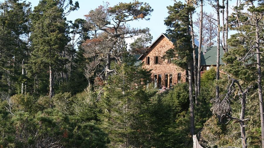 A retreat among towering pines seen during a sunny day - Brewery Gulch Inn & Spa