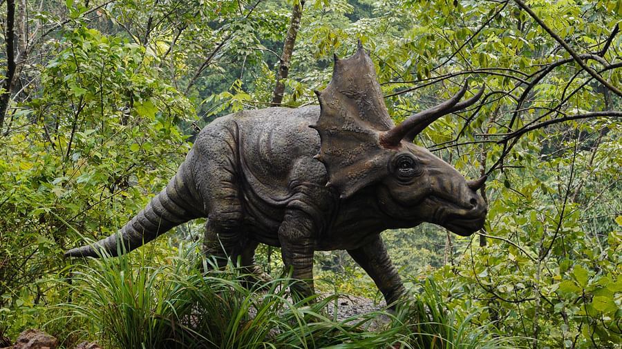a statue of a triceratops inside Holistic Stay Eco Resort, Kannur