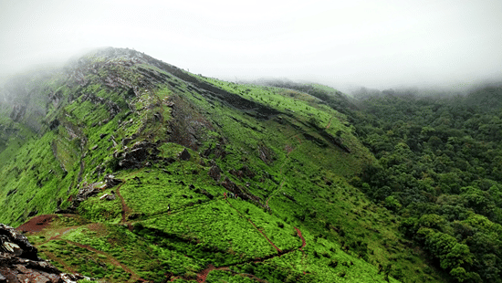 Steep hillsides blanketed in vibrant green vegetation.
