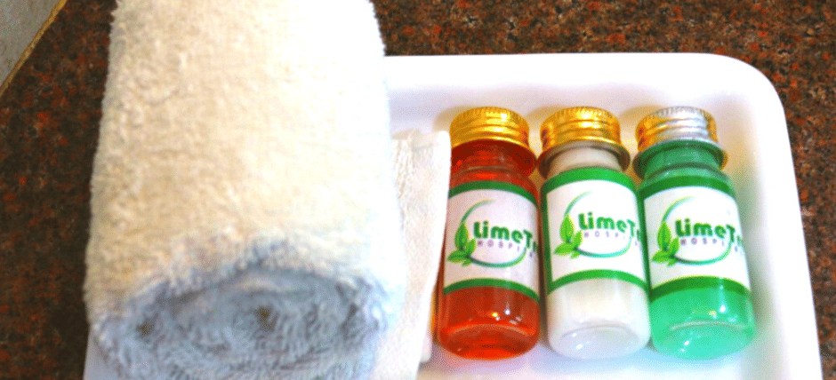 Lime Tree hotel Sushant Lok-1 3