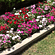 Hotel Meghniwas, Jaipur Jaipur Garden Area Facade Hotel Meghniwas Jaipur Hotels in Jaipur 3