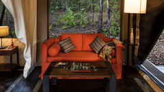 Luxury Tents at Satpura National Park- Reni Pani Jungle Lodge in Madhya Pradesh 4wsg