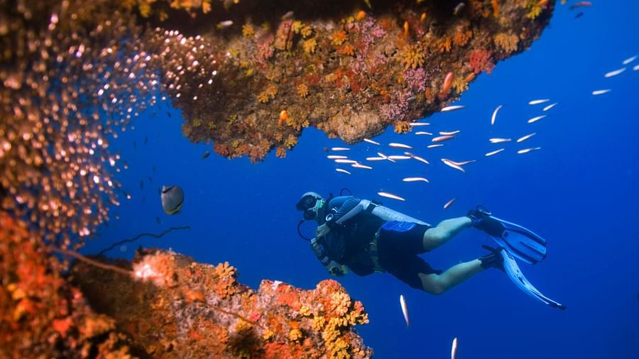 Scuba diving in Andaman Photo by Jillian Frits