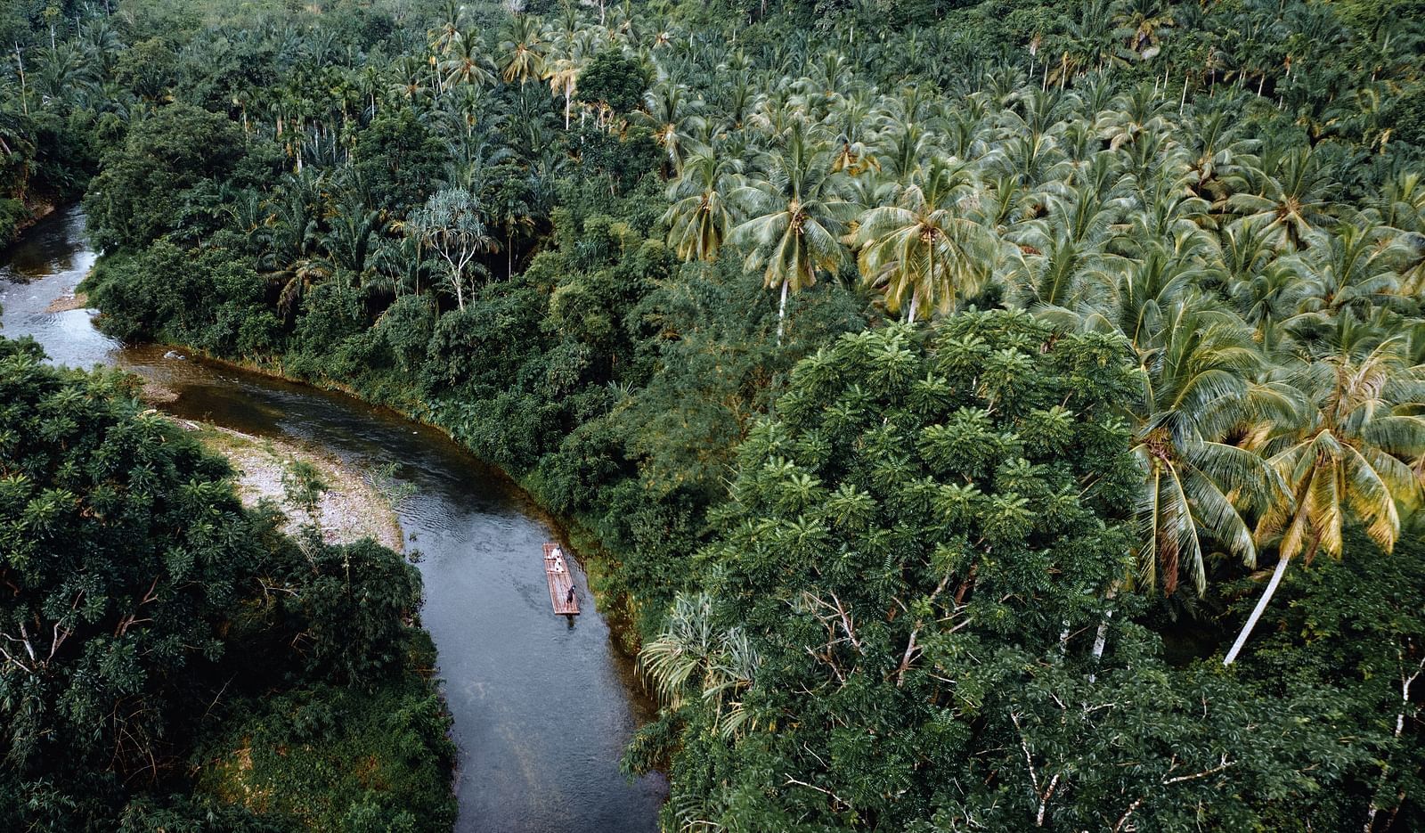 Bamboo Rafting