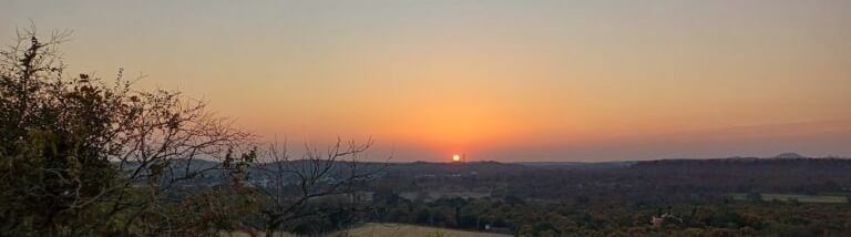 A view of the sunset in the horizon with dry plants and bushes in the foreground.