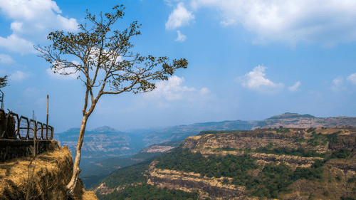An aerial view of layered rocky hills and valleys under a clear sky, with a tree growing near the edge of a cliff and a railing above it.