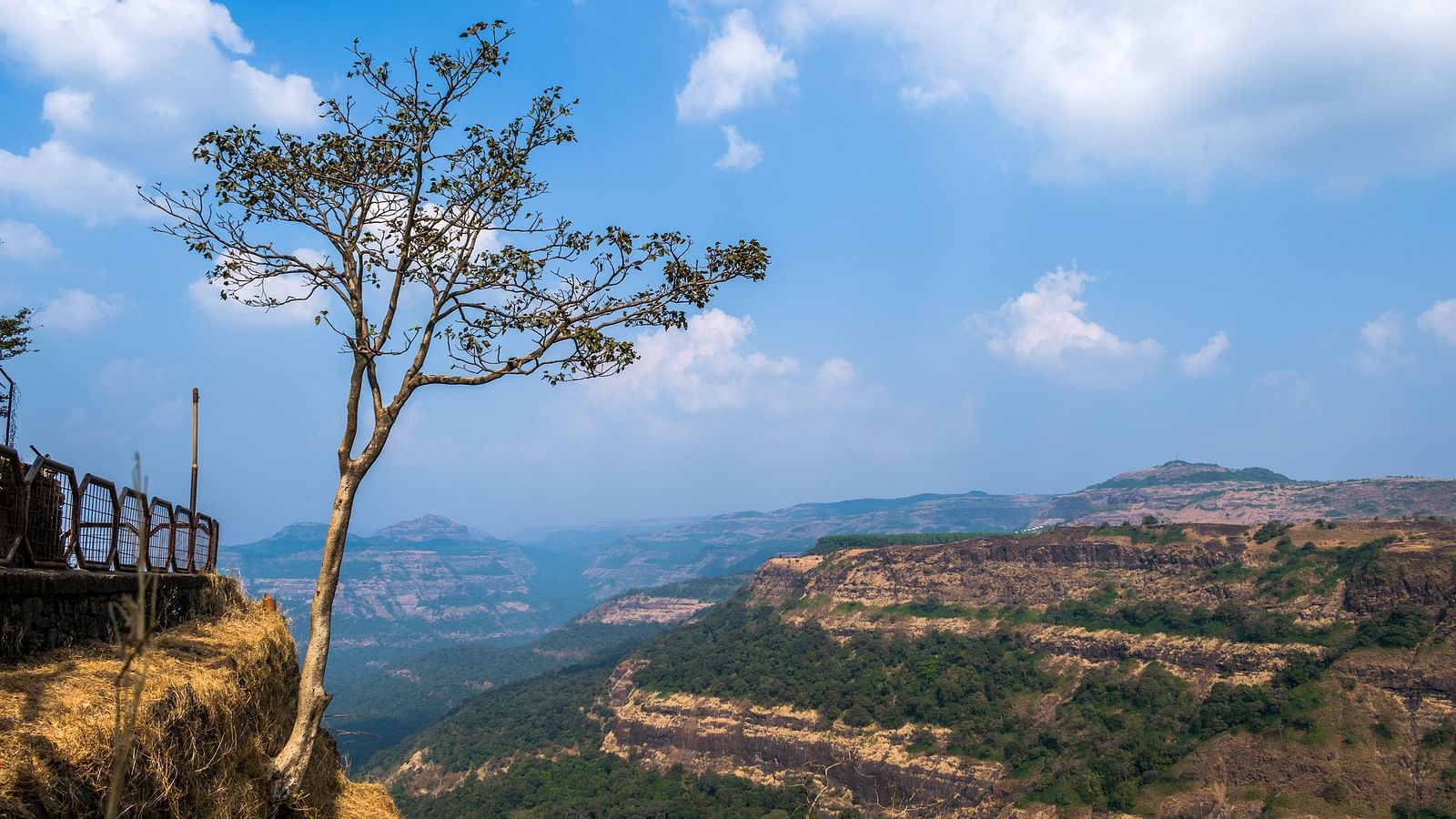 a viewpoint in khandala ghat with a small tree growing from outside the viewpoint