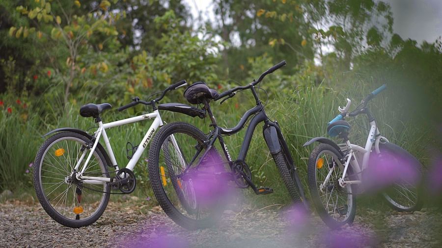 cycles parked by the side of lush green trees - Aalia Jungle Resort & Spa