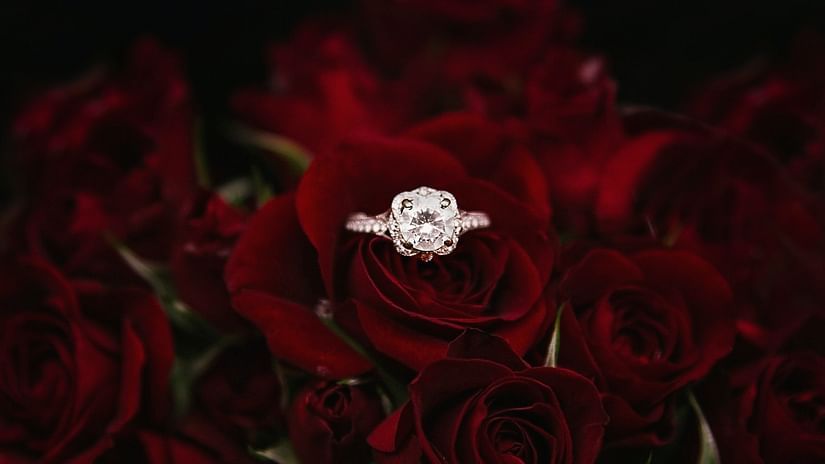 ring in centre of rose