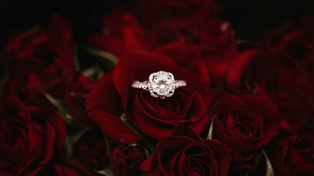 A close up shot of a ring in placed in the centre of a rose.