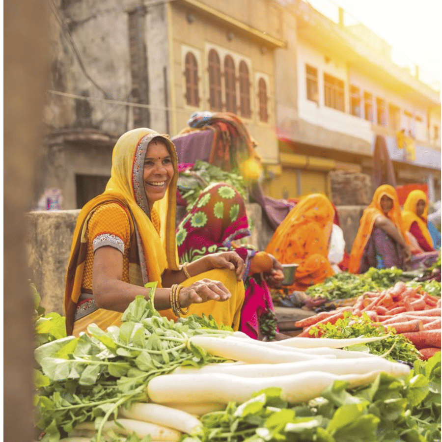 AJABGARH - LOCAL MARKET -Surya Bagh Ajabgarh - Experiences