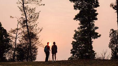 Two hikers silhouetted against a vibrant sunset, standing amidst trees and enjoying the scenic view.