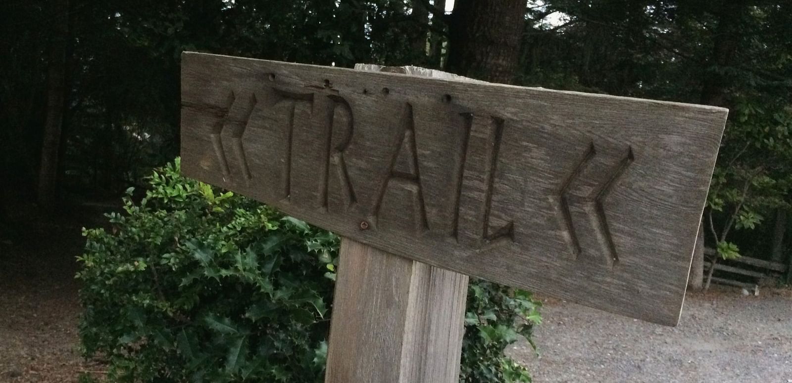 A wooden sign with the word TRAIL and directional arrows is affixed to a post in a wooded area.