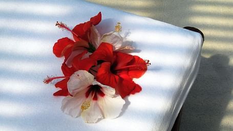 Solana Boutique B&B Zihuatanejo Solana hibiscus garden