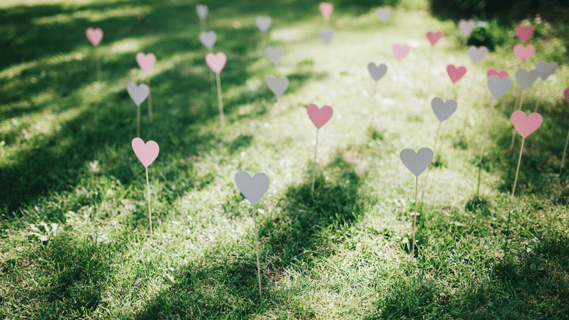 A patch of outdoor grass with several small, heart-shaped decorations on slender sticks staked into the ground.