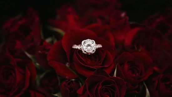 ring in centre of rose
