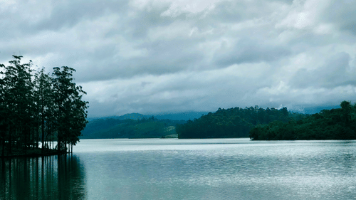 green trees by a water body under a cloudy sky