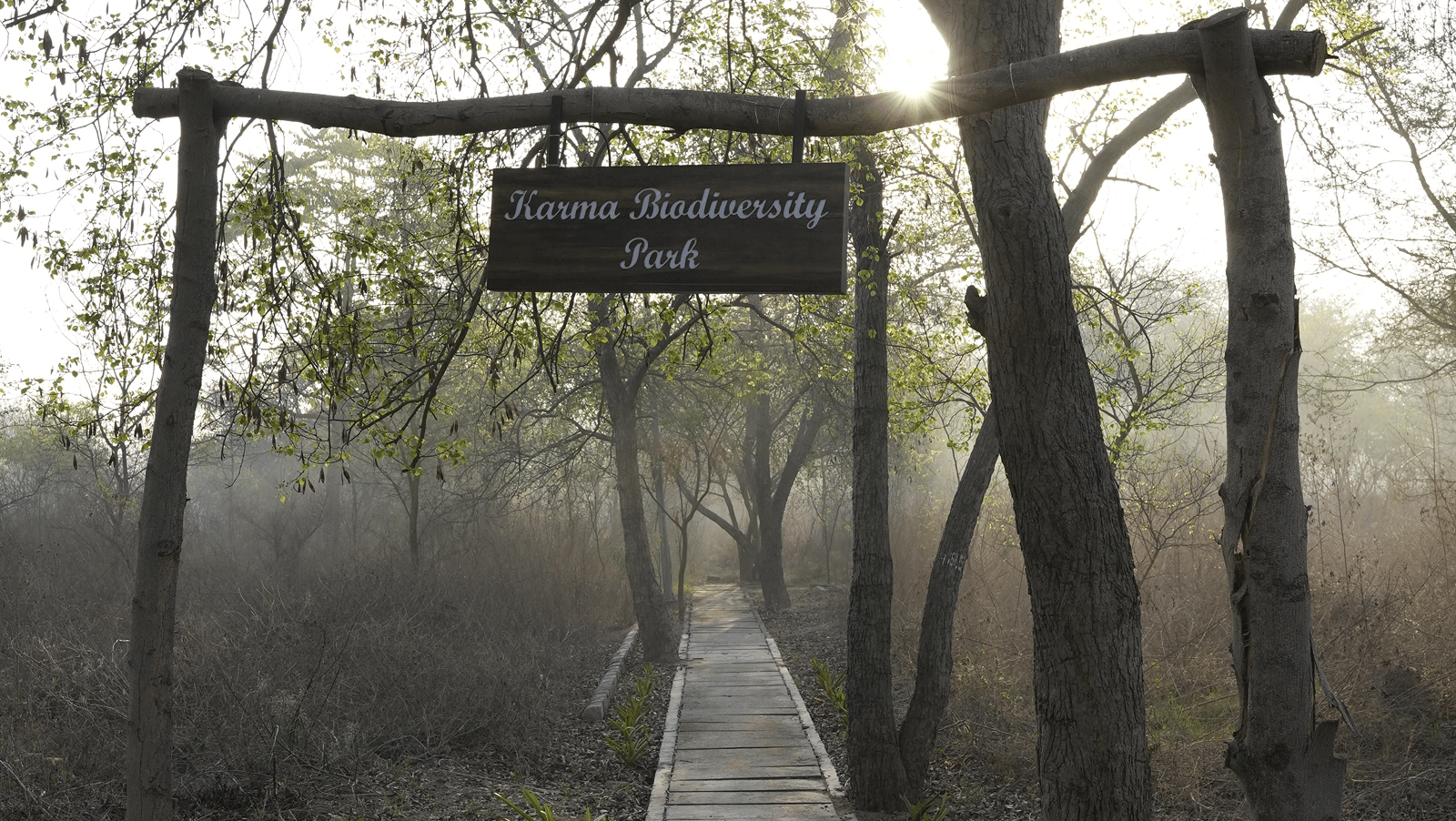 bio-diversity-park