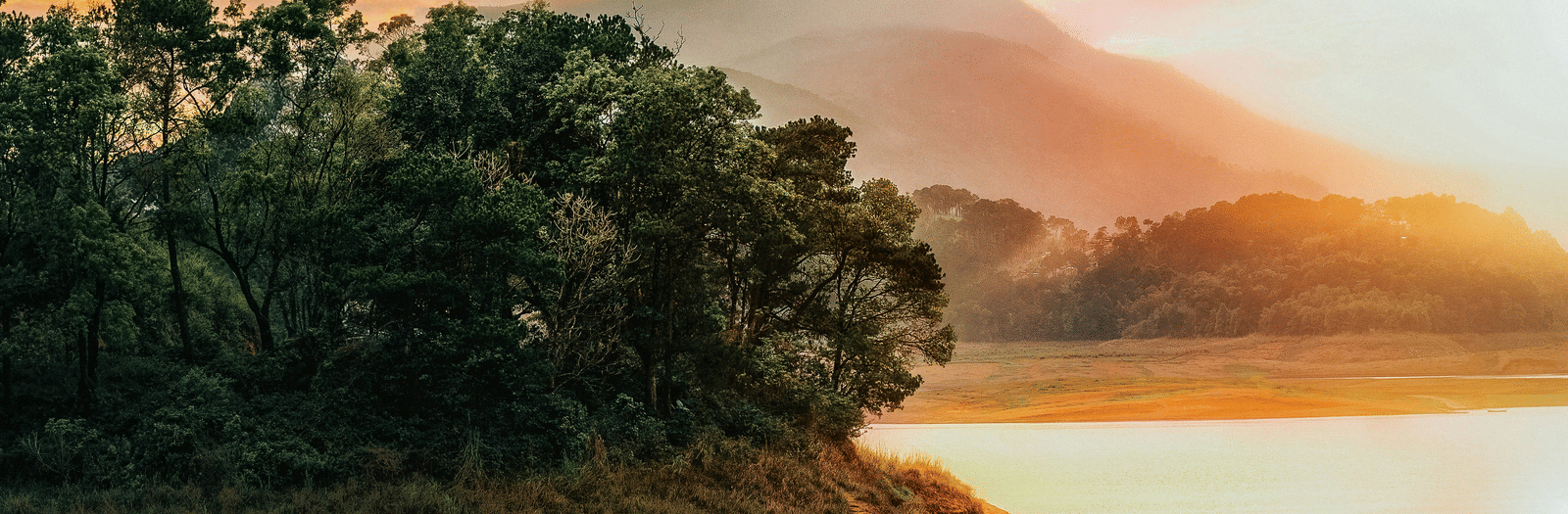 thanuj-mathew-6diM4O5BxOs-unsplash