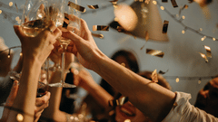 people-toasting-wine-glasses-3171837