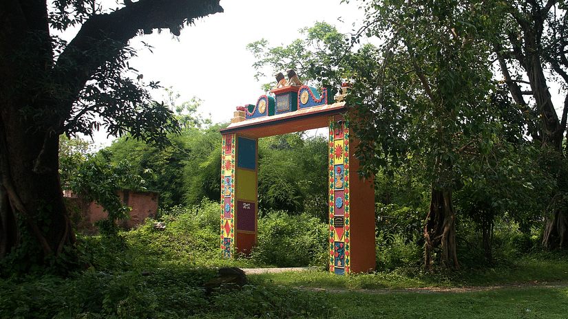 Lachiwala nature park - Serene picnic spot with lush surroundings and a calm stream for relaxation.