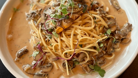 A bowl of creamy pasta topped with mushrooms, herbs, and grated cheese, served at Kit Carson Lodge