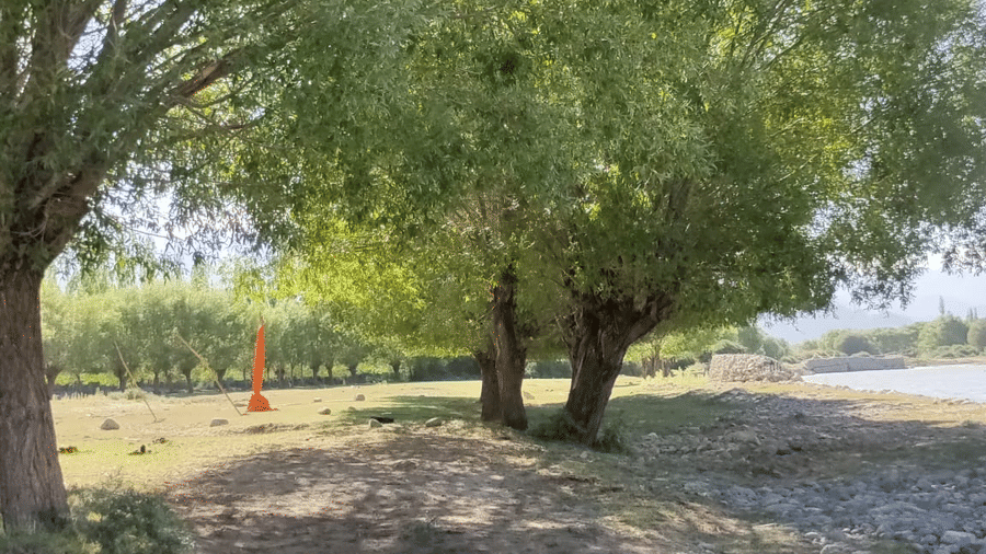 Mature willow trees providing a canopy over a grassy garden area at Indus Serenity Retreat.