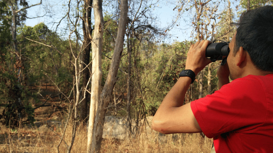 An image of a man sitting amidst the woods watching through binoculars